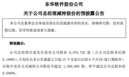 東華軟件總經理呂波擬減持不超過150萬股，信息系統集成服務行業前景引關注