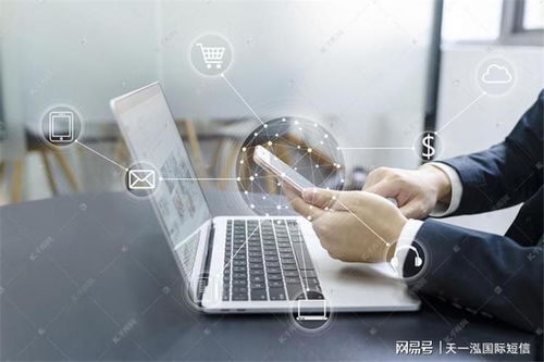 服務器的驗證碼重要么 短信驗證碼的作用與信息系統集成服務解析